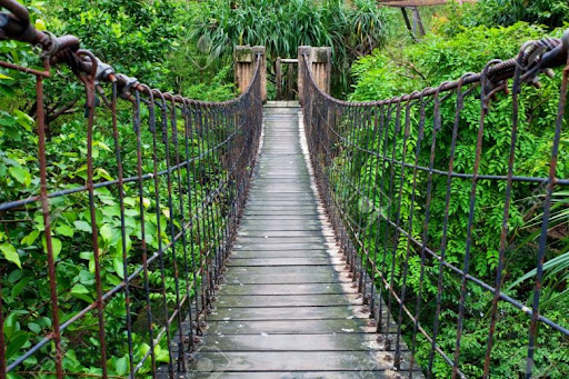 Read more about the article New Canopy Walkway at Amedzofe in the Volta Region