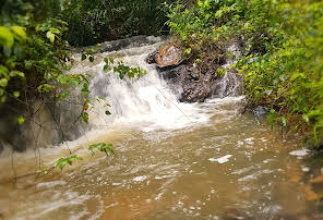 Asenema Waterfall