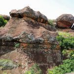 Tanoboase Sacred Grove and Shrine